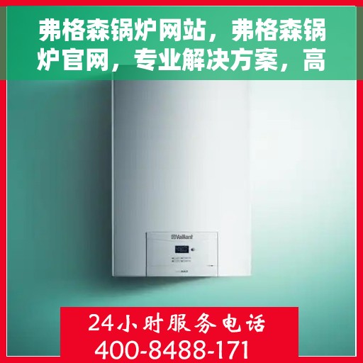 弗格森锅炉网站，弗格森锅炉官网，专业解决方案，高效能源供应的先驱