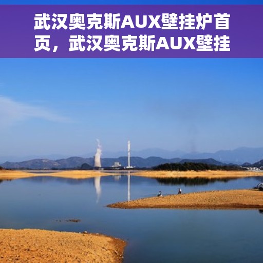 武汉奥克斯AUX壁挂炉首页，武汉奥克斯AUX壁挂炉，温暖首选，品质之选的首页展示