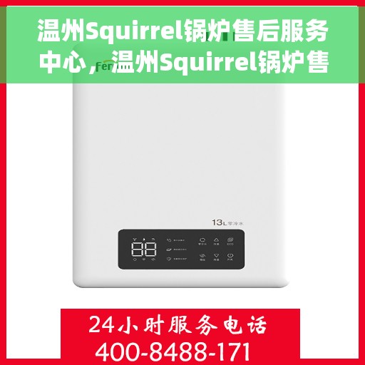 温州Squirrel锅炉售后服务中心，温州Squirrel锅炉售后服务中心，专业维修与贴心服务