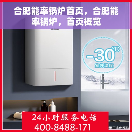 合肥能率锅炉首页，合肥能率锅炉，首页概览