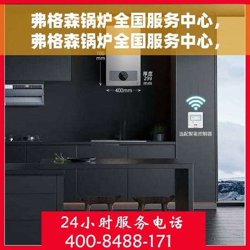 弗格森锅炉全国服务中心，弗格森锅炉全国服务中心，专业维修与全方位服务支持