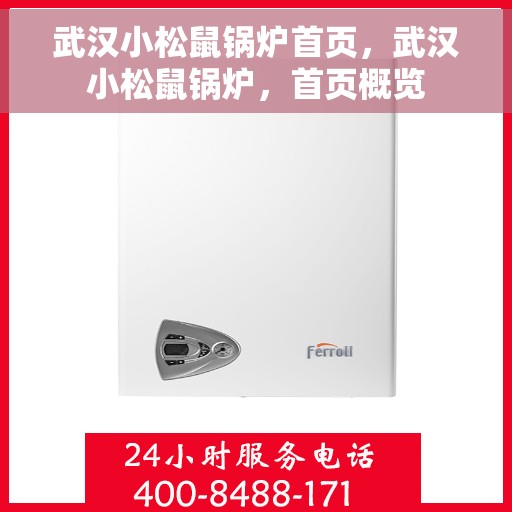 武汉小松鼠锅炉首页，武汉小松鼠锅炉，首页概览
