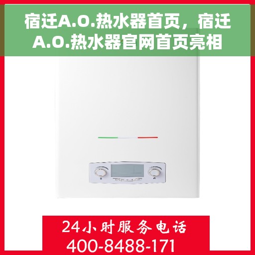 宿迁A.O.热水器首页，宿迁A.O.热水器官网首页亮相