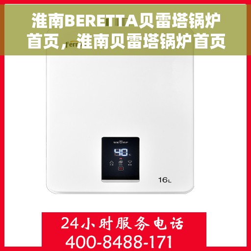 淮南BERETTA贝雷塔锅炉首页，淮南贝雷塔锅炉首页简介