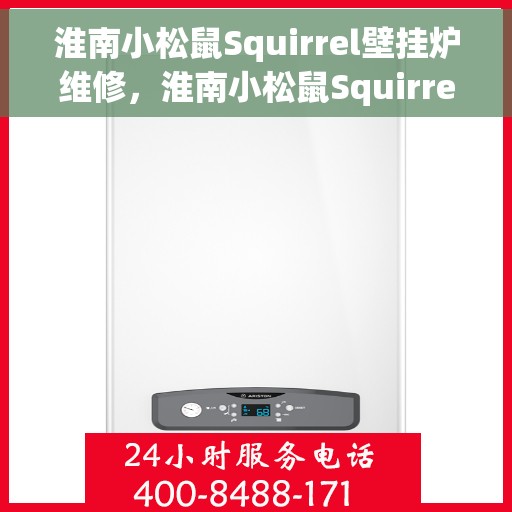 淮南小松鼠Squirrel壁挂炉维修，淮南小松鼠Squirrel壁挂炉专业维修服务
