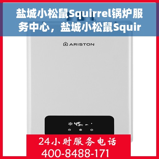 盐城小松鼠Squirrel锅炉服务中心，盐城小松鼠Squirrel锅炉专业服务中心