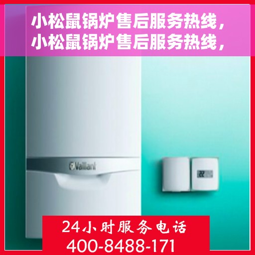 小松鼠锅炉售后服务热线，小松鼠锅炉售后服务热线，专业团队，贴心服务，为您解答疑难！