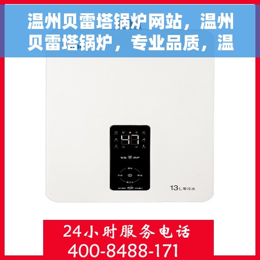 温州贝雷塔锅炉网站，温州贝雷塔锅炉，专业品质，温暖之选