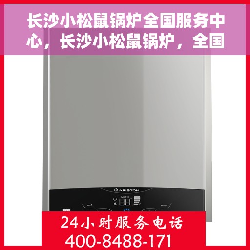 长沙小松鼠锅炉全国服务中心，长沙小松鼠锅炉，全国服务中心专业助力，温暖您的每一个角落