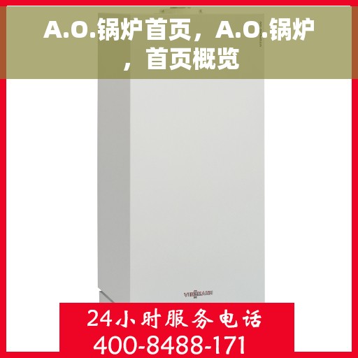 A.O.锅炉首页，A.O.锅炉，首页概览