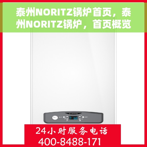 泰州NORITZ锅炉首页，泰州NORITZ锅炉，首页概览