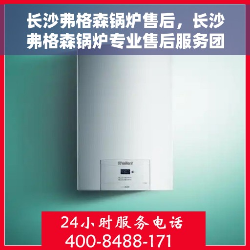 长沙弗格森锅炉售后，长沙弗格森锅炉专业售后服务团队，为您提供全方位解决方案