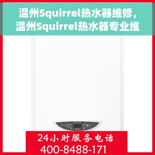 温州Squirrel热水器维修，温州Squirrel热水器专业维修服务