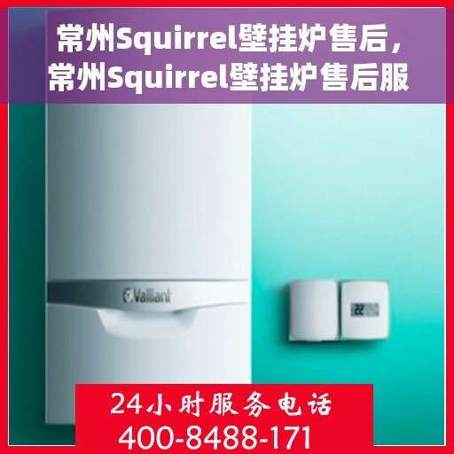常州Squirrel壁挂炉售后，常州Squirrel壁挂炉售后服务解析