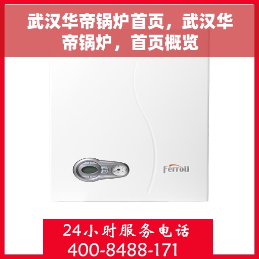 武汉华帝锅炉首页，武汉华帝锅炉，首页概览