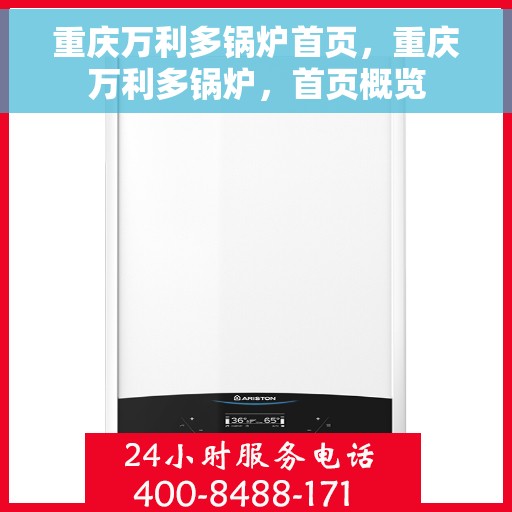 重庆万利多锅炉首页，重庆万利多锅炉，首页概览
