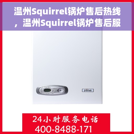 温州Squirrel锅炉售后热线，温州Squirrel锅炉售后服务热线，专业解决您的锅炉问题