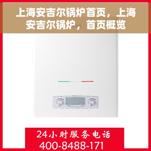 上海安吉尔锅炉首页，上海安吉尔锅炉，首页概览
