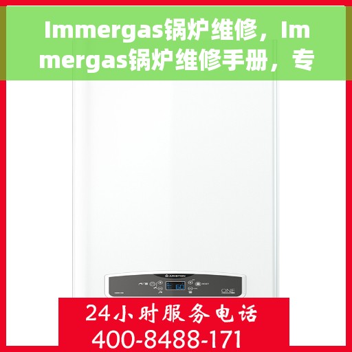 Immergas锅炉维修，Immergas锅炉维修手册，专业指南与解决方案