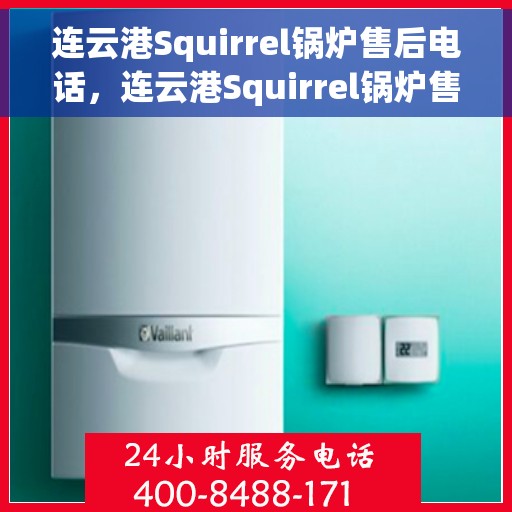 连云港Squirrel锅炉售后电话，连云港Squirrel锅炉售后服务热线及电话全攻略