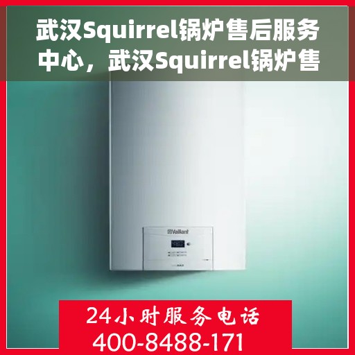 武汉Squirrel锅炉售后服务中心，武汉Squirrel锅炉售后服务中心，专业维修与贴心服务