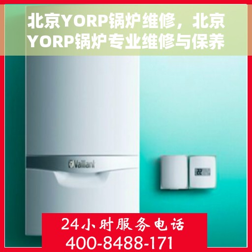 北京YORP锅炉维修，北京YORP锅炉专业维修与保养