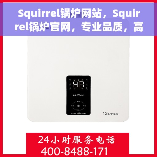 Squirrel锅炉网站，Squirrel锅炉官网，专业品质，高效运行的锅炉解决方案