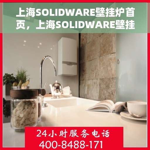 上海SOLIDWARE壁挂炉首页，上海SOLIDWARE壁挂炉，高效温暖之家首选