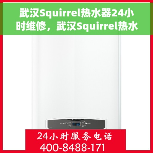 武汉Squirrel热水器24小时维修，武汉Squirrel热水器全天候专业维修服务