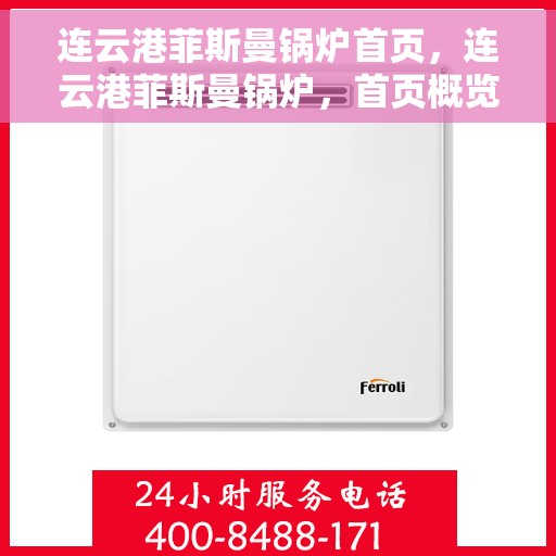 连云港菲斯曼锅炉首页，连云港菲斯曼锅炉，首页概览