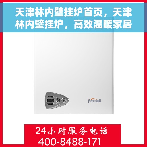 天津林内壁挂炉首页，天津林内壁挂炉，高效温暖家居的首选