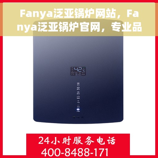 Fanya泛亚锅炉网站，Fanya泛亚锅炉官网，专业品质，高效运行的锅炉解决方案