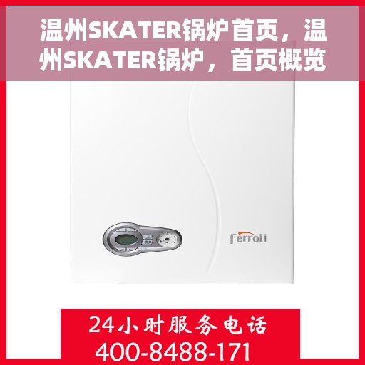 温州SKATER锅炉首页，温州SKATER锅炉，首页概览