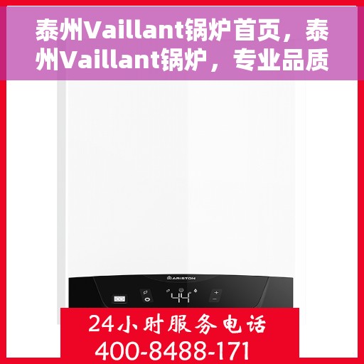 泰州Vaillant锅炉首页，泰州Vaillant锅炉，专业品质，高效首选的首页展示