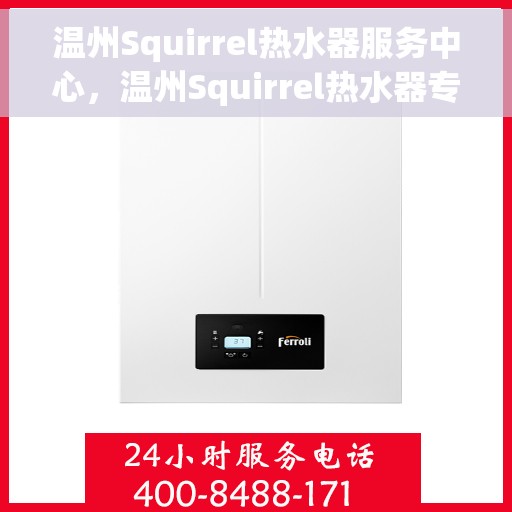 温州Squirrel热水器服务中心，温州Squirrel热水器专业服务中心，高效维修与优质服务并行