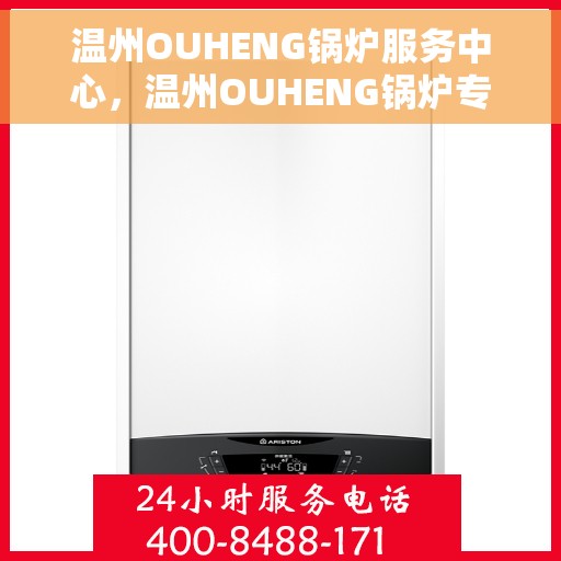 温州OUHENG锅炉服务中心，温州OUHENG锅炉专业服务中心，高效、安全的锅炉维护与解决方案