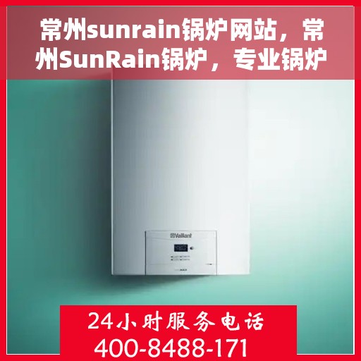常州sunrain锅炉网站，常州SunRain锅炉，专业锅炉解决方案提供商