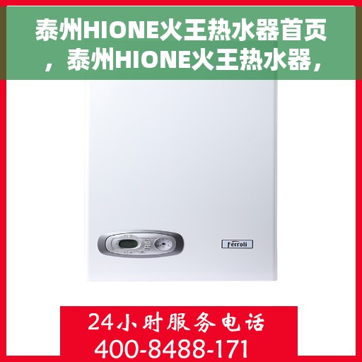 泰州HIONE火王热水器首页，泰州HIONE火王热水器，品质之选，温暖从此开始