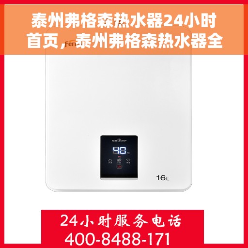 泰州弗格森热水器24小时首页，泰州弗格森热水器全天候服务，首页温暖守护您的生活