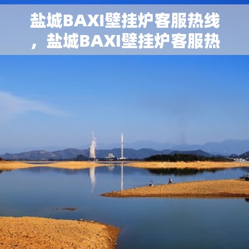 盐城BAXI壁挂炉客服热线，盐城BAXI壁挂炉客服热线，专业支持与解决方案一站式服务
