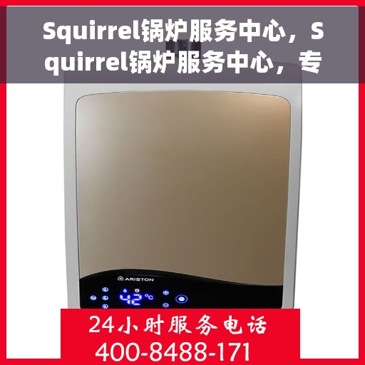 Squirrel锅炉服务中心，Squirrel锅炉服务中心，专业维修与保养一站式解决方案