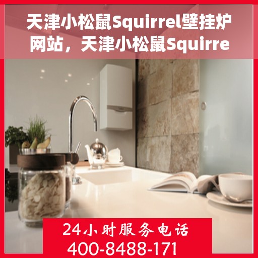 天津小松鼠Squirrel壁挂炉网站，天津小松鼠Squirrel壁挂炉官网