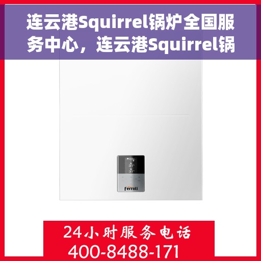 连云港Squirrel锅炉全国服务中心，连云港Squirrel锅炉全国服务中心，专业维修与优质服务一体化