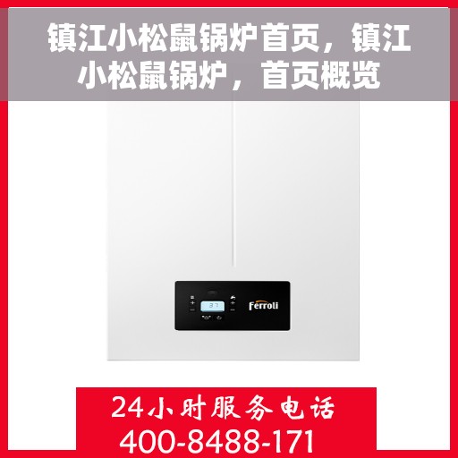 镇江小松鼠锅炉首页，镇江小松鼠锅炉，首页概览