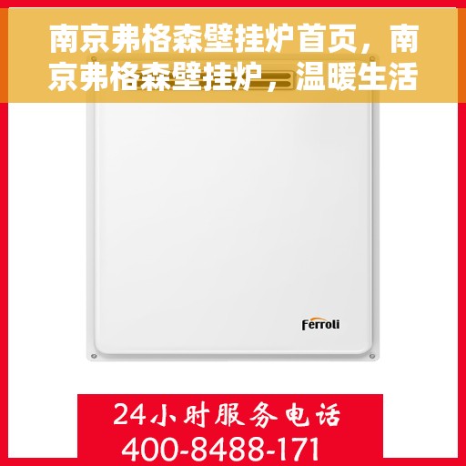 南京弗格森壁挂炉首页，南京弗格森壁挂炉，温暖生活的首选之源