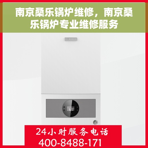 南京桑乐锅炉维修，南京桑乐锅炉专业维修服务