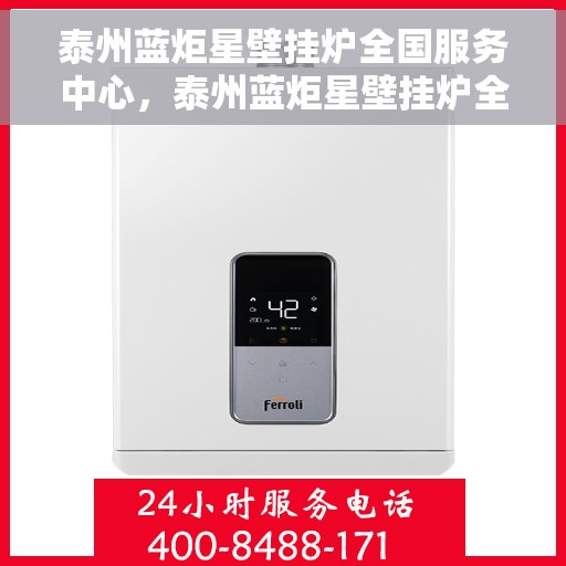 泰州蓝炬星壁挂炉全国服务中心，泰州蓝炬星壁挂炉全国售后服务中心专业服务团队，为您保驾护航