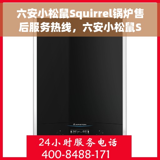 六安小松鼠Squirrel锅炉售后服务热线，六安小松鼠Squirrel锅炉售后热线及服务一览