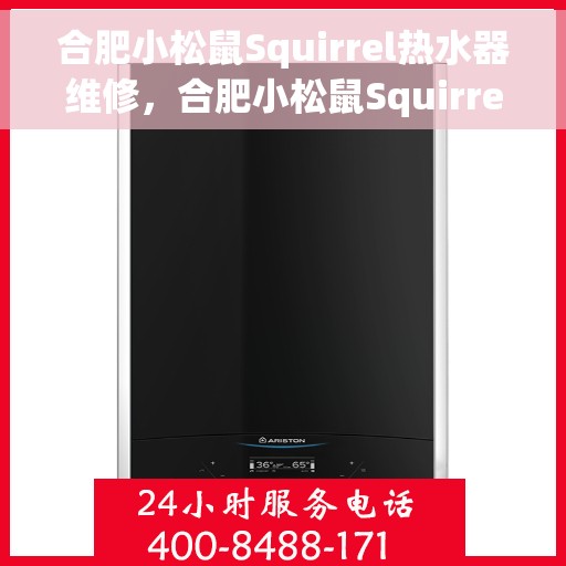 合肥小松鼠Squirrel热水器维修，合肥小松鼠Squirrel热水器维修服务详解