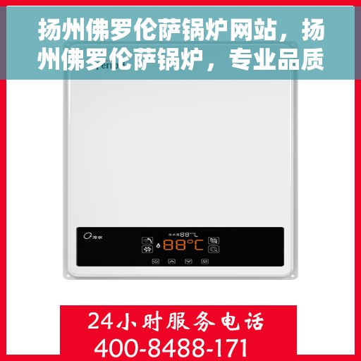 扬州佛罗伦萨锅炉网站，扬州佛罗伦萨锅炉，专业品质与智能科技的完美结合